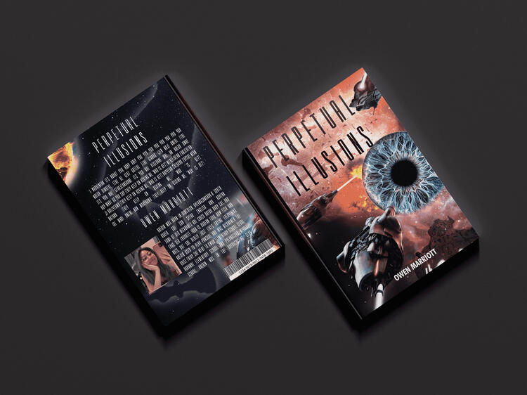 Perpetual Illusions book cover